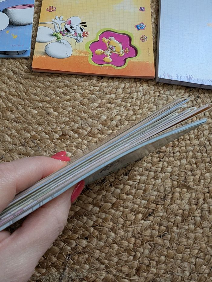 Lot blocs diddl - photo numéro 3