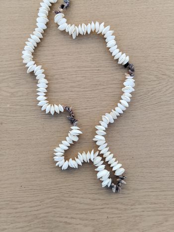 Collier coquillage