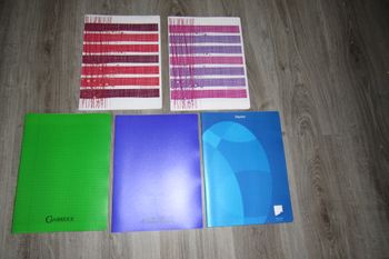 LOT DE 5 GRANDS CAHIERS - FORMAT 24 x 32 CM - n°25