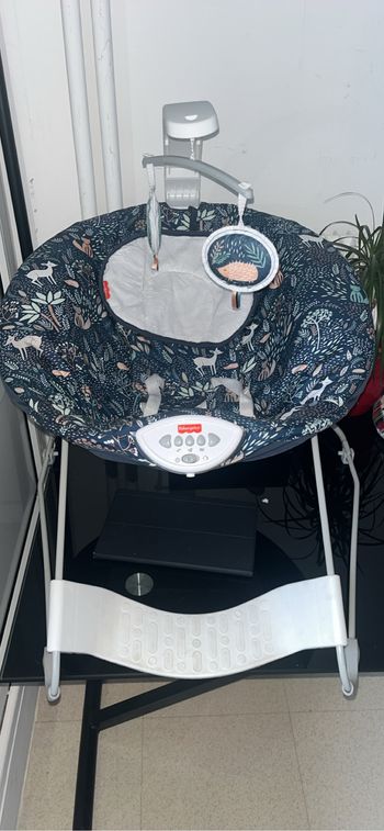 Transat Fisher Price