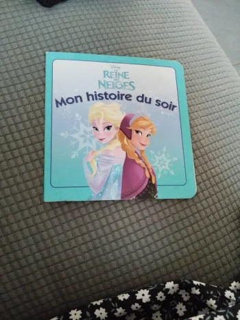 Livre reine des neiges