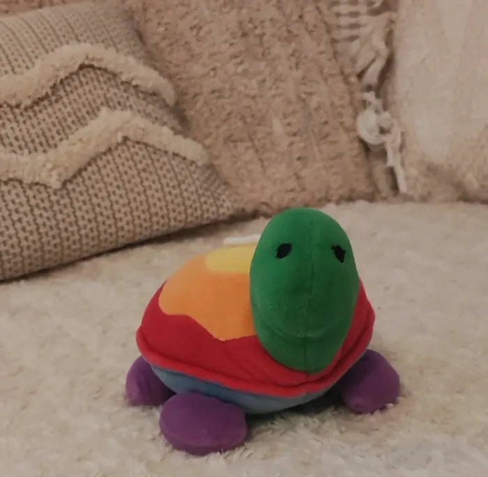 Peluche Tortue