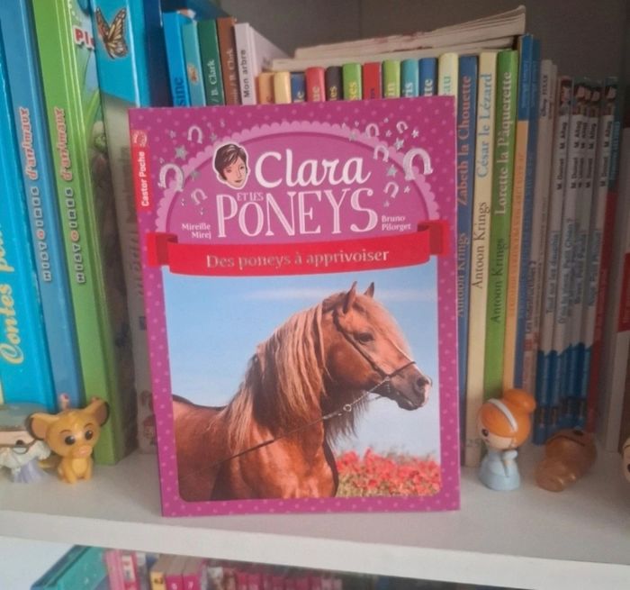 Clara et les poneys - des poneys à apprivoiser