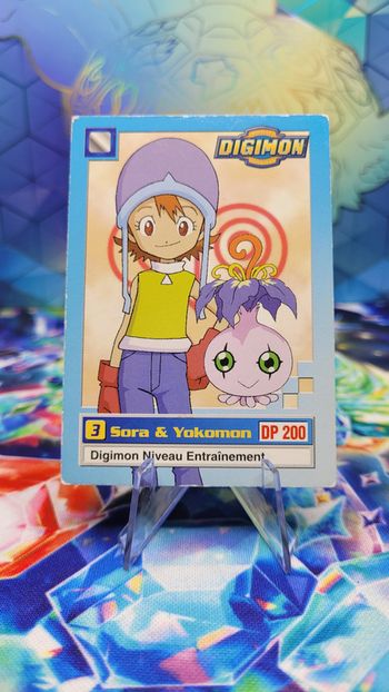 Carte Digimon Sora & Yokomon 6/34 Édition Série TV