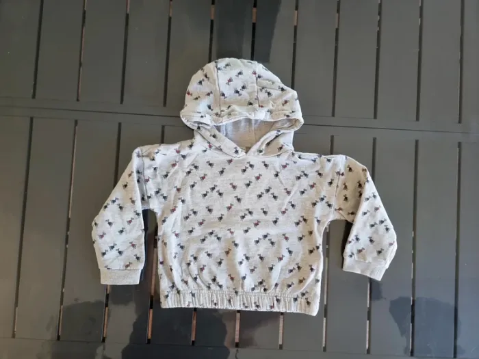 Sweat à capuche 3ans