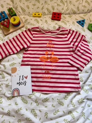 tee shirt manches longues 18 mois du pareil au même