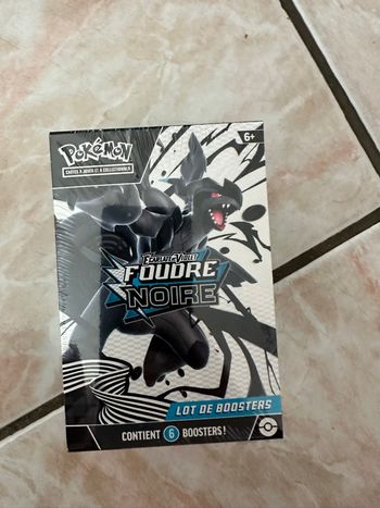 Bundle Foudre noir ev10.5