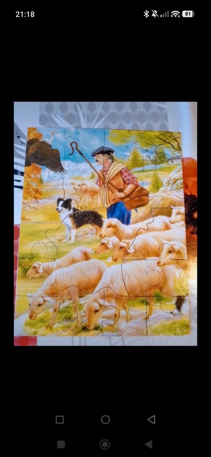 Puzzle - photo numéro 3