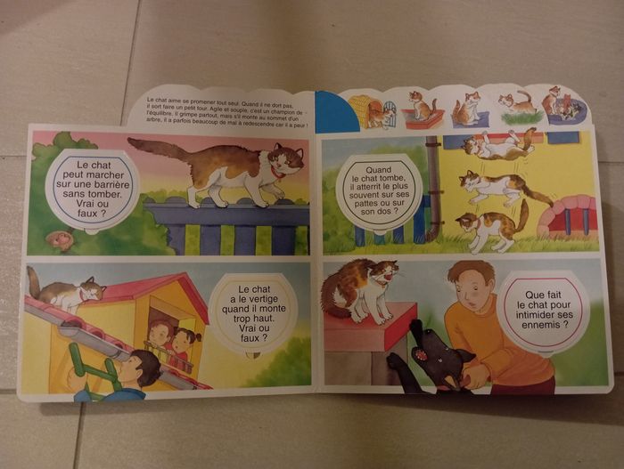 Les petits secrets de mon chat - photo numéro 3