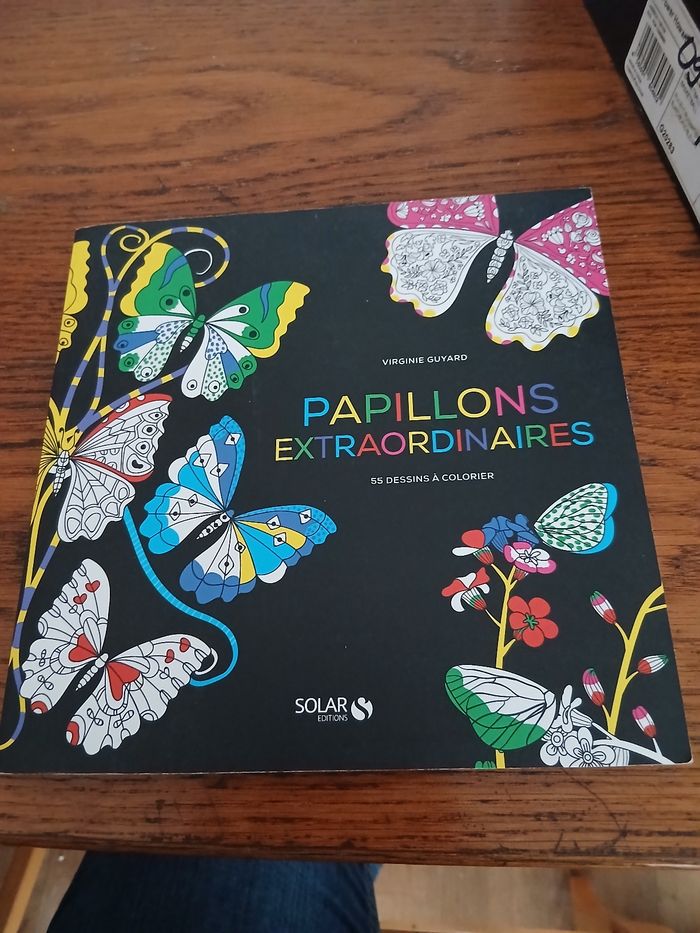 Papillons extraordinaires - photo numéro 1