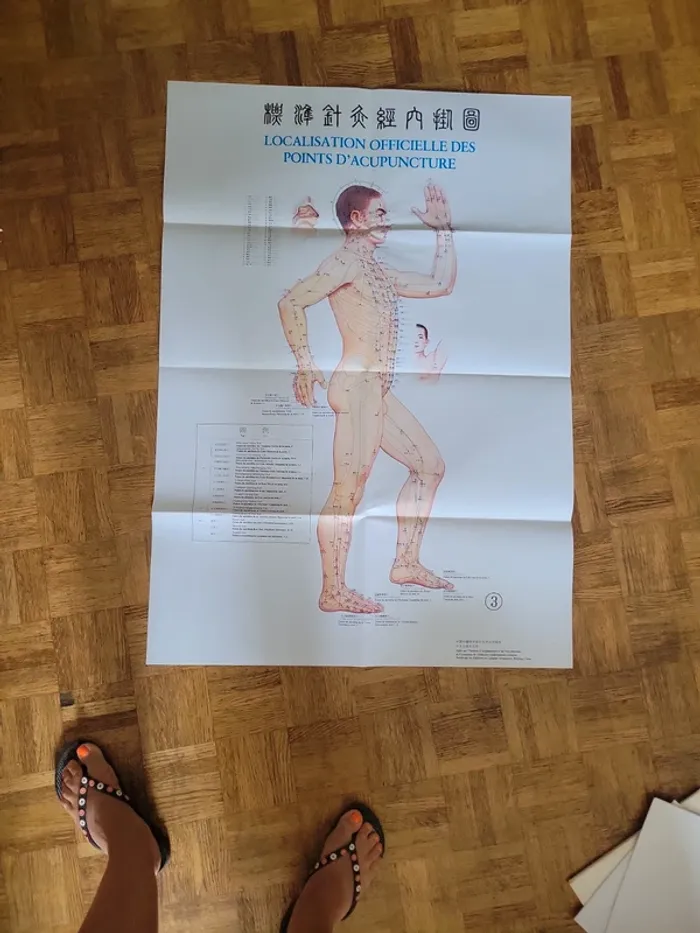 Localisation officielle des points d' acupuncture - photo numéro 7