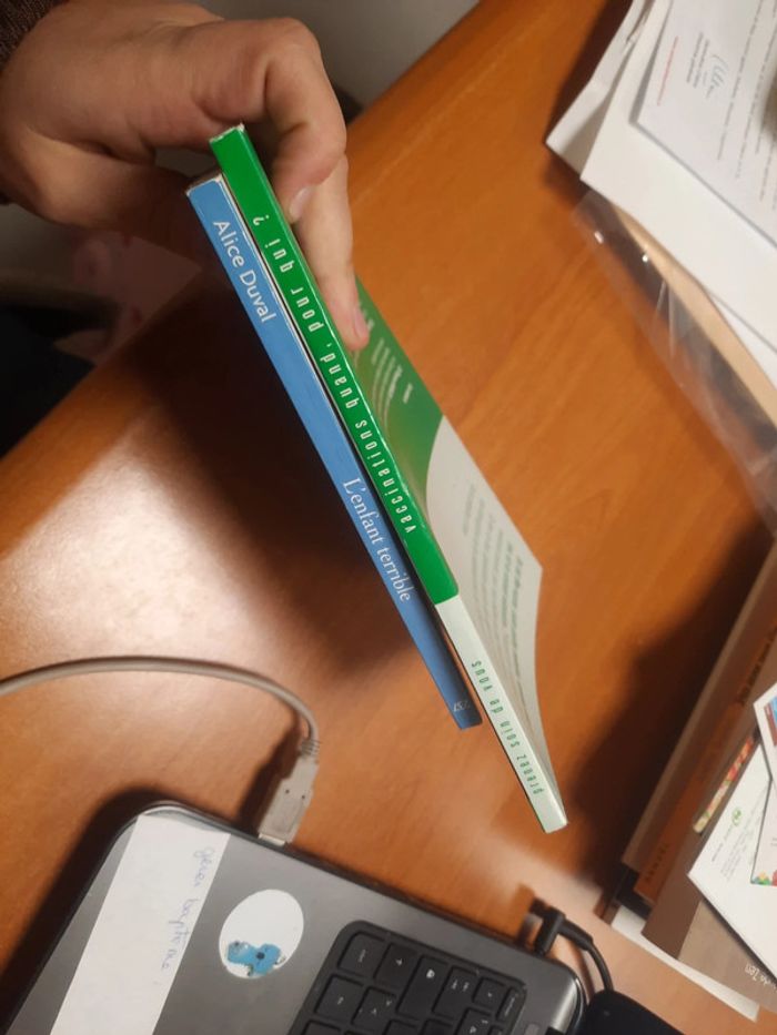 Lot 2 ivre enfant l'enfant terrible Alice duval - photo numéro 2