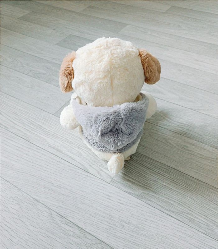 🪻Jolie peluche toute douce 🪻 - photo numéro 3