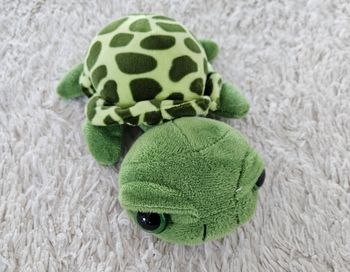 Tortue avec ventouse