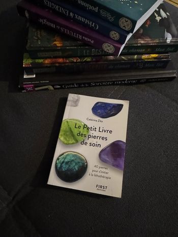 Le petit livre des pierres de soin