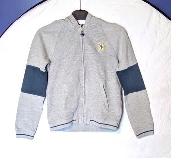 Veste Sweat Sergent Major Grise Capuche Logo Cactus Wild Adventures Vêtement Tendance Mode Enfants