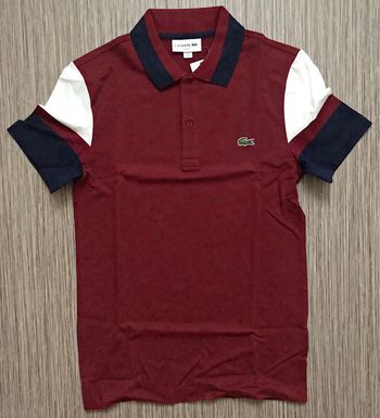 Polo Lacoste Neuf