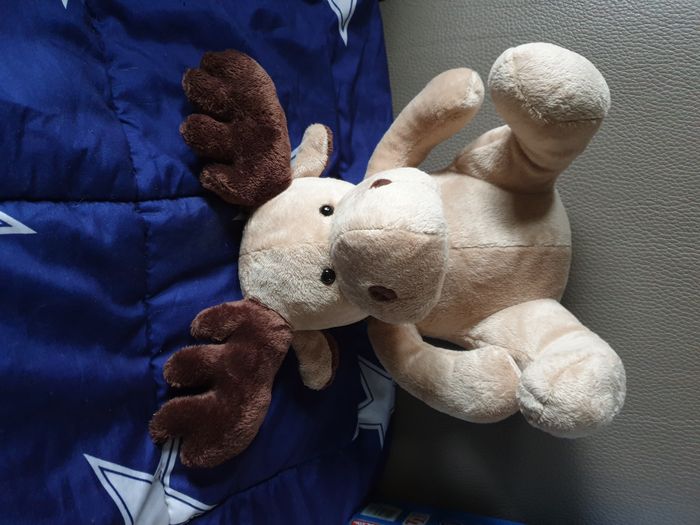 Elan de  Noel - photo numéro 4