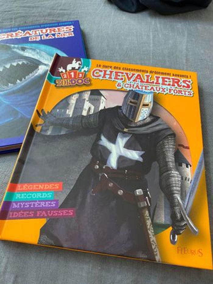 Lot de 2 livres 123 Topdoc Fleurus - photo numéro 3