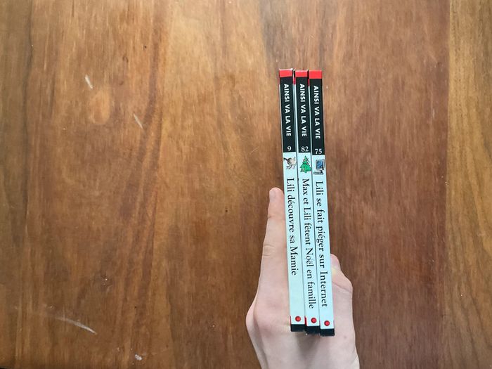 Lot Max et lili - photo numéro 3