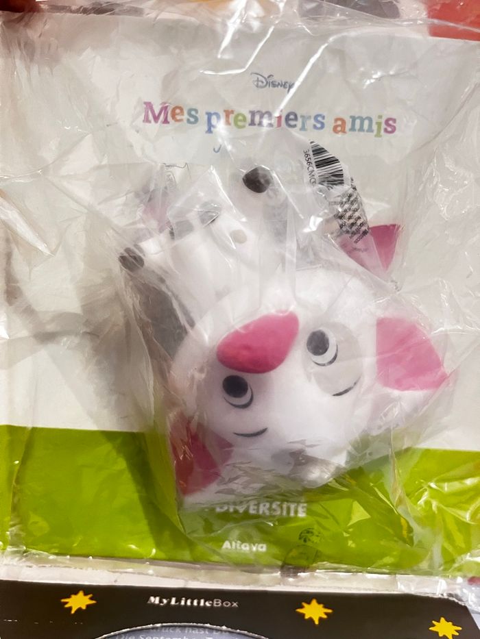 Livre Disney les premiers amis sous blister