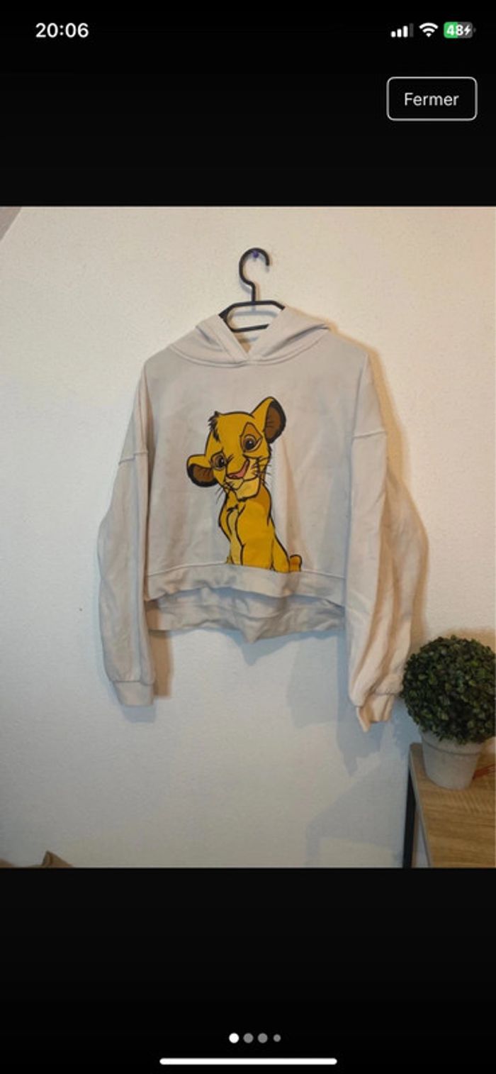 Pull Simba taille M