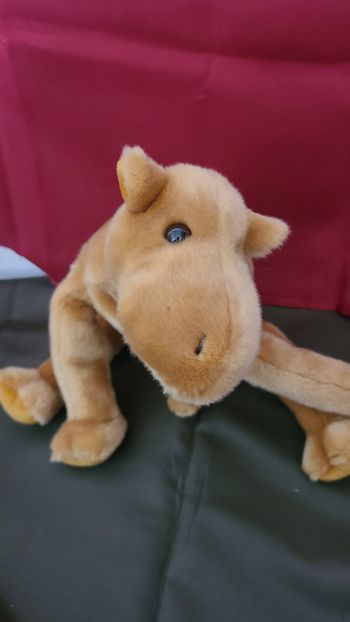 Ty Beanie Buddy « Humphrey » le chameau 1998 -
