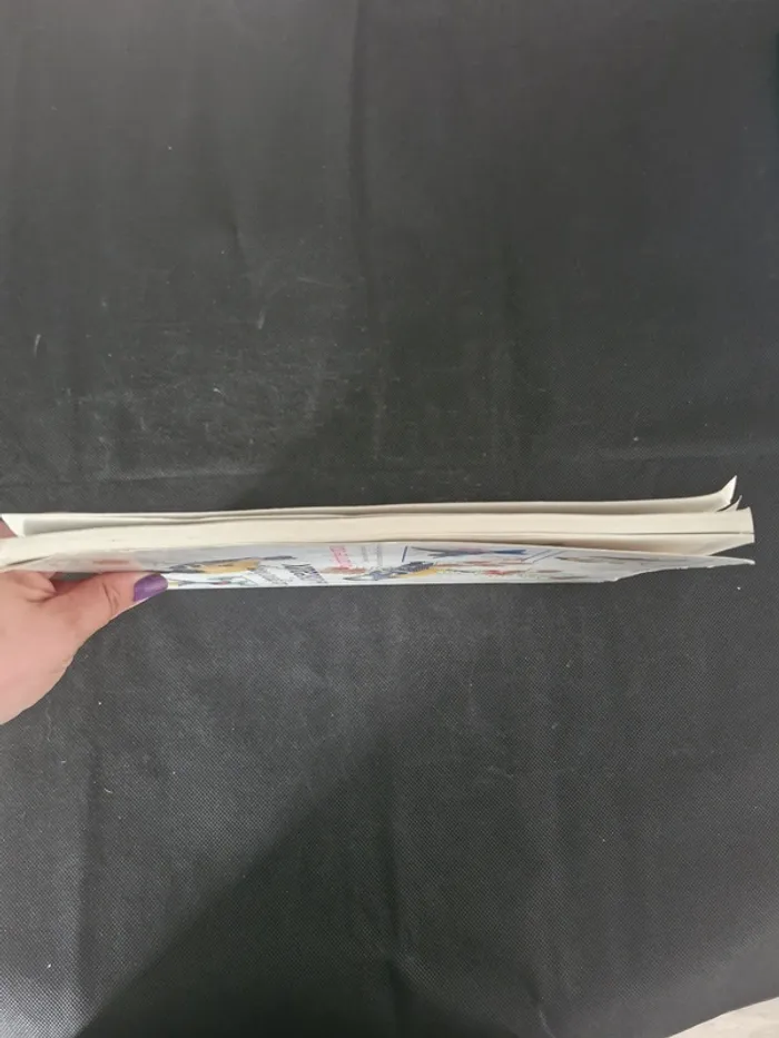 Le grand livre des oiseaux au point de croix - John Gould - photo numéro 4
