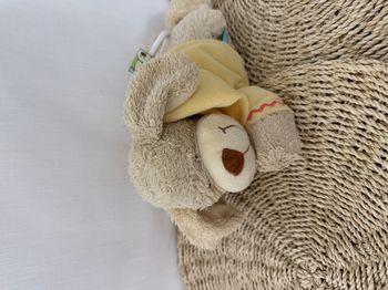Doudou musical chien sweat capuche jaune NICOTOY
