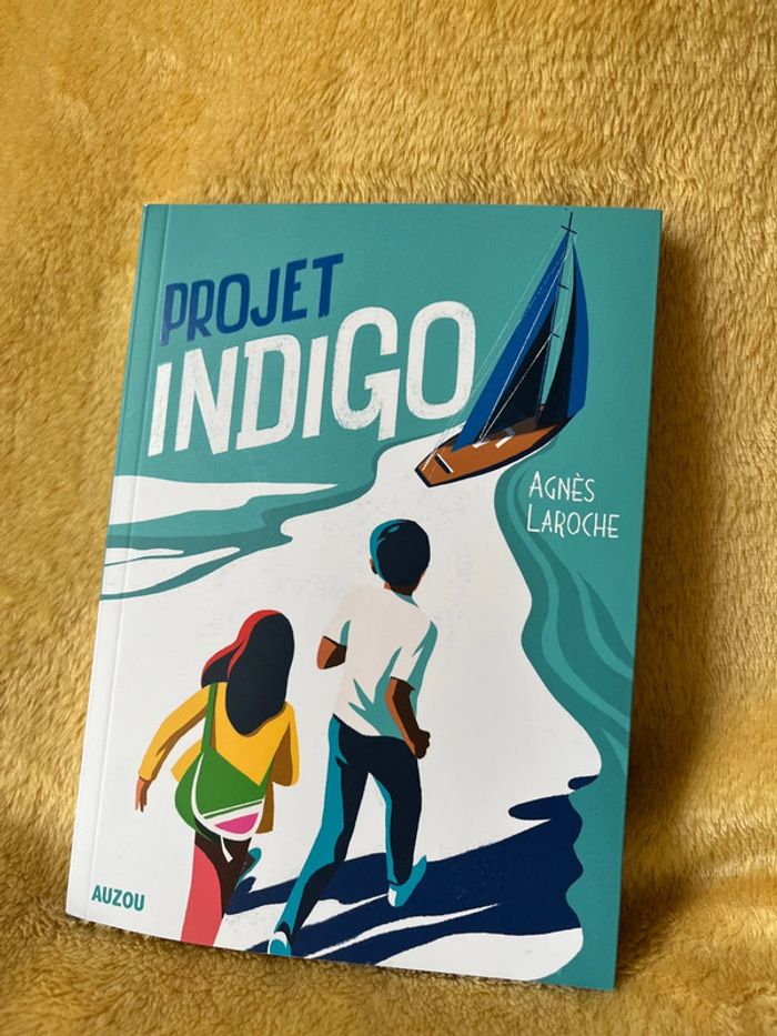 Livre, projet indigo d’Agnès Laroche