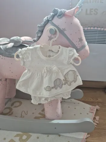 Ensemble éléphants naissance