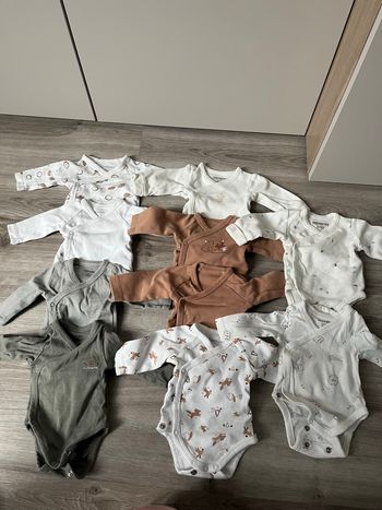 Lot bodies 