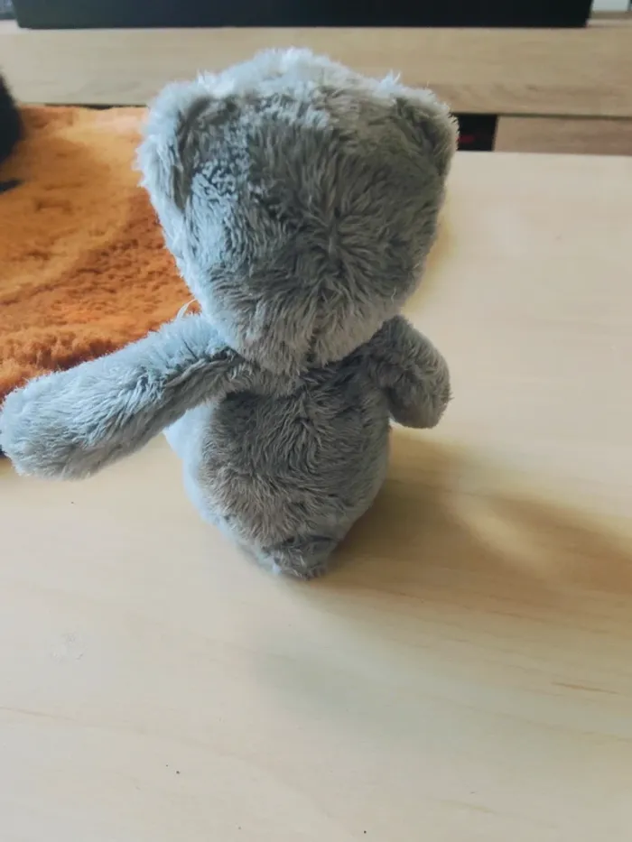 Petit ours gris - photo numéro 4