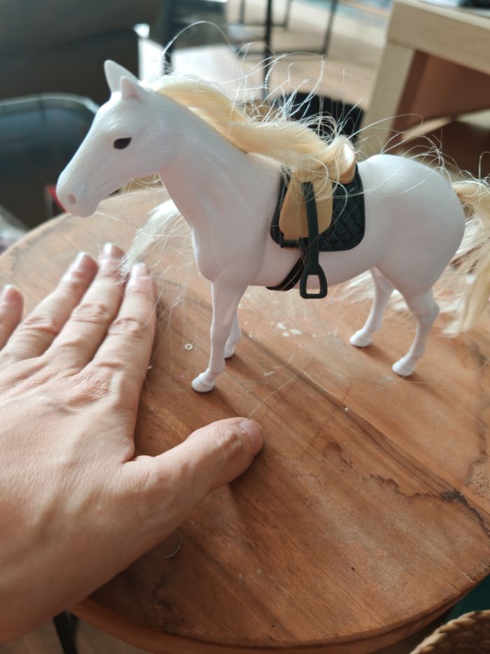 Cheval - photo numéro 2