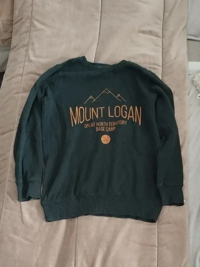 Suite sans capuche la Redoute vert sapin garçon 14 ans - photo numéro 8