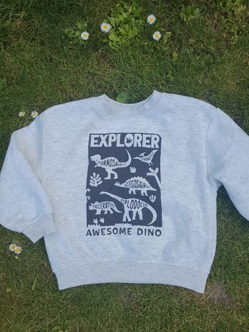 Pull sweat garçon 4/5 ans