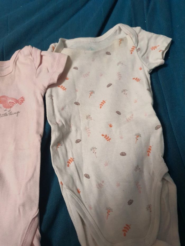 Lot de 3 bodies Tex Manches courtes été fille 6 mois - photo numéro 5