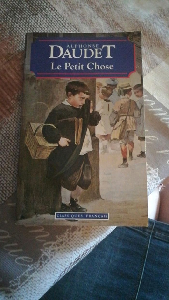Livre le petit chose