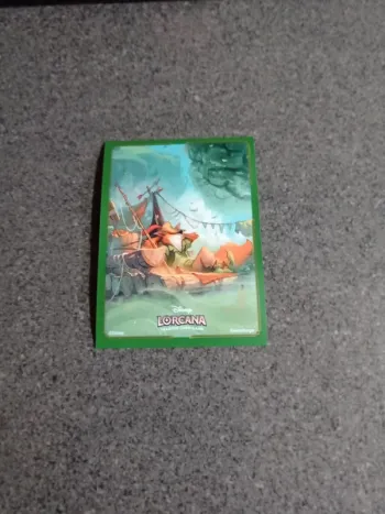 Sleeve Robin des bois