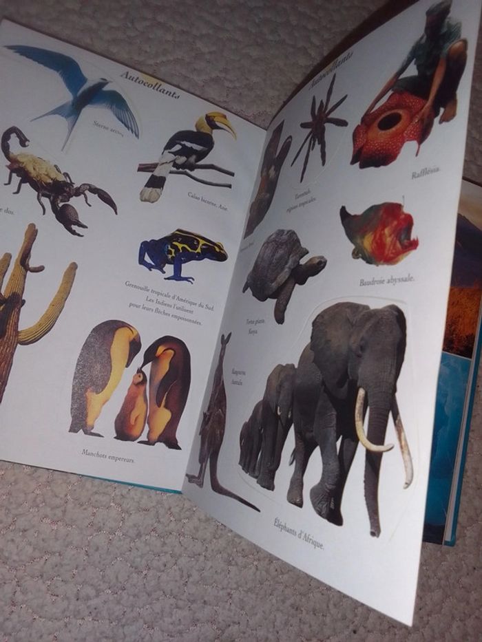 Quand la nature nous étonne 8/11 ans - photo numéro 4