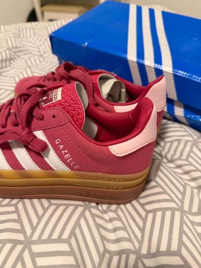 Gazelle - photo numéro 2