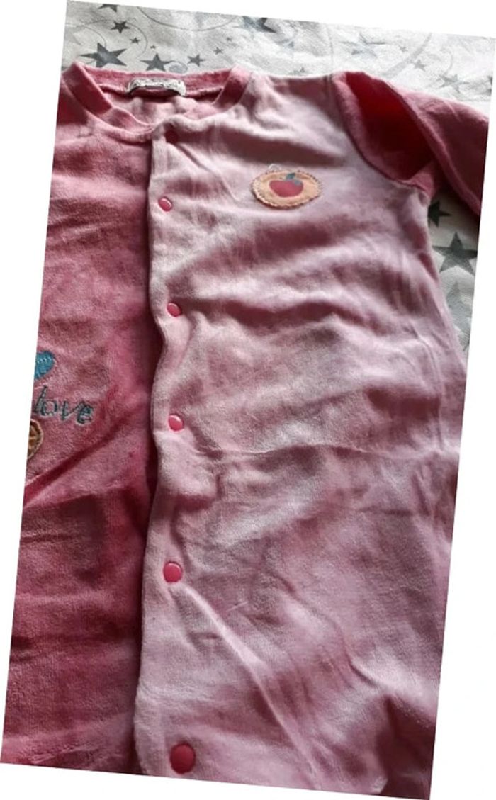 Grenouillere - photo numéro 3