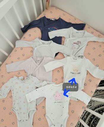 Lot de 7 bodies