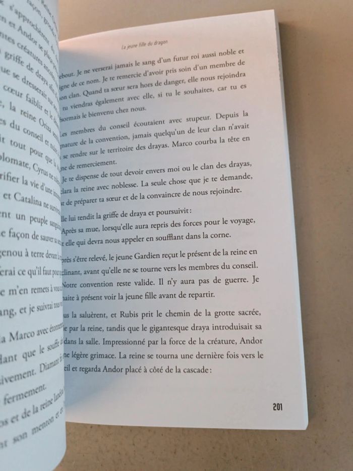 Irène Salvador la vague émeraude - photo numéro 7