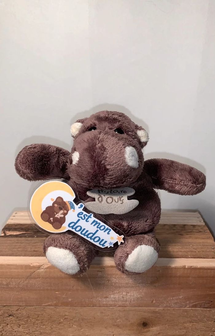 HD25 Doudou hippopotame 🦛 histoire d’ours
