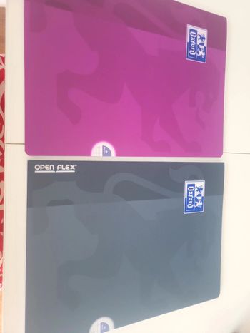 Lot 2 cahiers oxford open flex 24x32