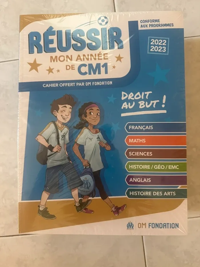 Fichier réussir mon année de cm1