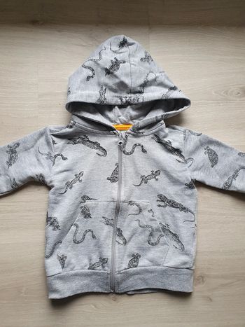 Veste zippée