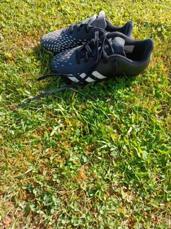 Adidas predator