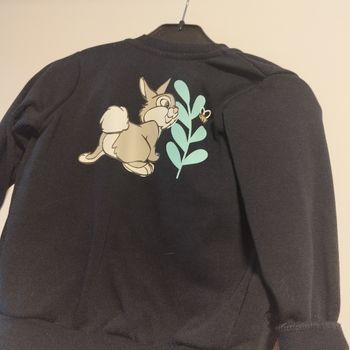 Veste zippée panpan